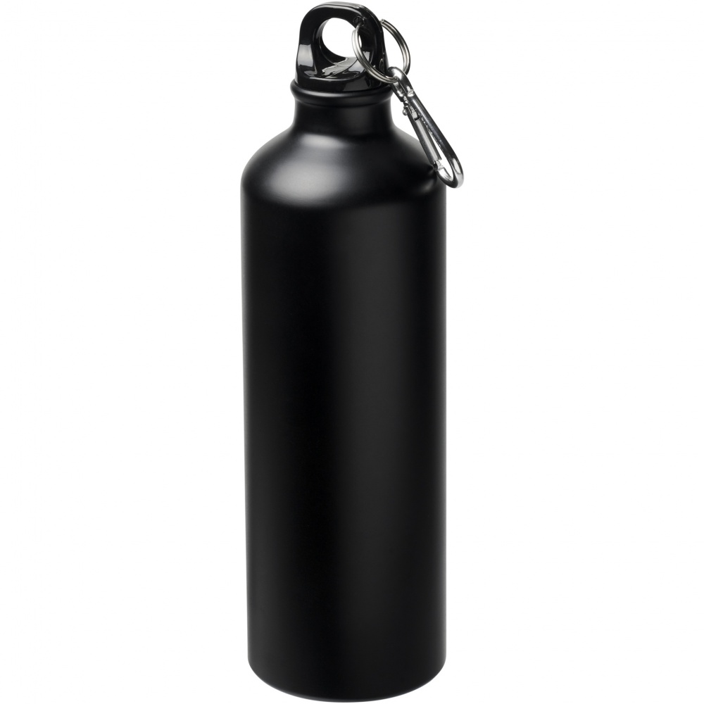 Logotrade advertising product image of: Oregon 770 ml matte water bottle with carabiner