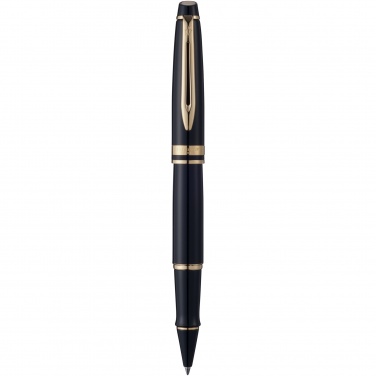 Logotrade promotional giveaway image of: Waterman Expert rollerball pen