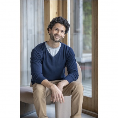 Logotrade promotional giveaway picture of: Stanton men's v-neck pullover