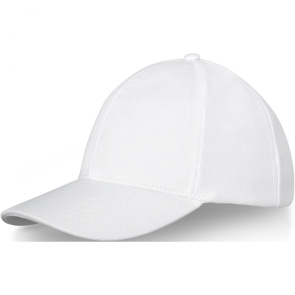 Logotrade promotional product picture of: Drake 6 panel trucker cap