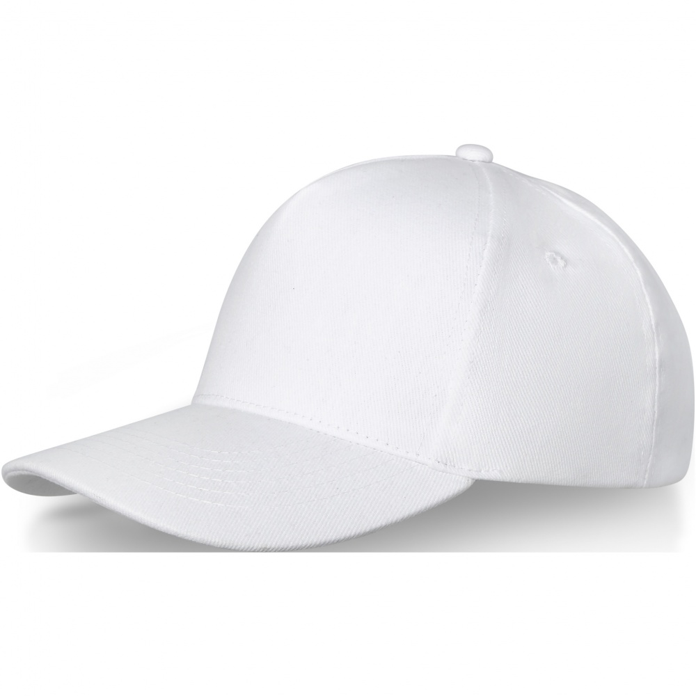 Logo trade promotional giveaways image of: Doyle 5 panel cap
