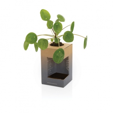 Logo trade business gift photo of: Avira Alya RCS Re-steel tumbler 300 ml