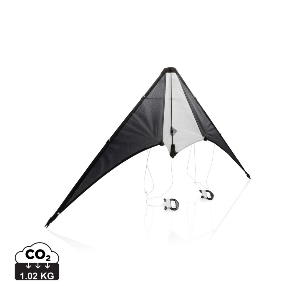 Logotrade promotional merchandise picture of: Delta kite