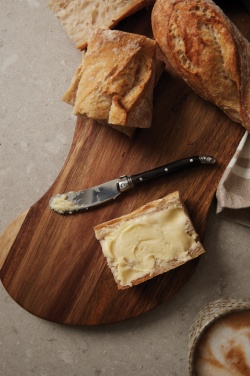 Logotrade promotional item picture of: VINGA Gigaro butter knives