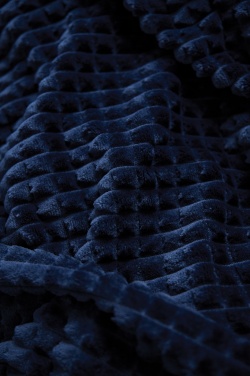 Logo trade promotional item photo of: VINGA Branson GRS rpet blanket