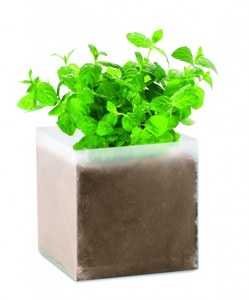 Logo trade corporate gift photo of: Compost with seeds "MINT"