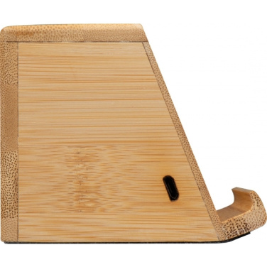 Logotrade promotional gifts photo of: Induction loudspeaker NUREMBERG