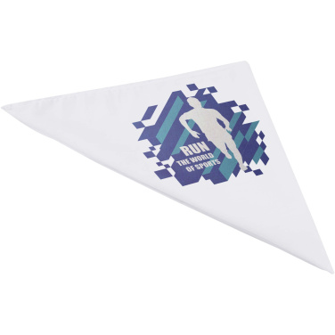 Logotrade promotional merchandise image of: Heracles bandana