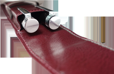 Logotrade promotional item picture of: Pen case 236019