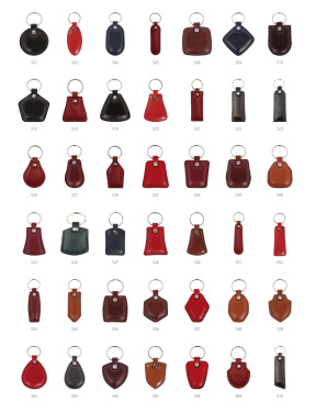 Logotrade promotional item picture of: Keyring 178011