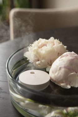 Logo trade promotional merchandise photo of: Breevia RCS rplasic re-chargeable floating humidifier