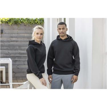 Logo trade promotional gifts picture of: Danali unisex interlock sports hoodie