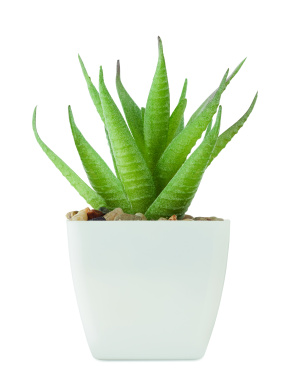 Logotrade advertising product picture of: Mini artificial plant