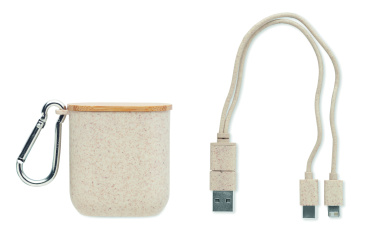 Logotrade promotional gift image of: Cable set in case