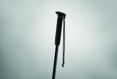 Logotrade promotional gift picture of: Telescopic walking pole