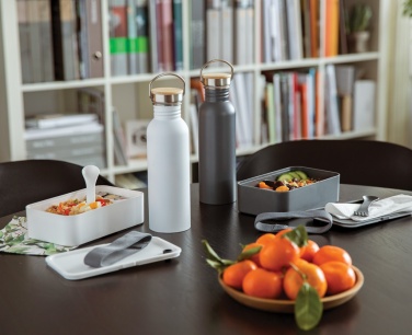 Logo trade ärikingituse pilt: PP lõunakarp sporgiga