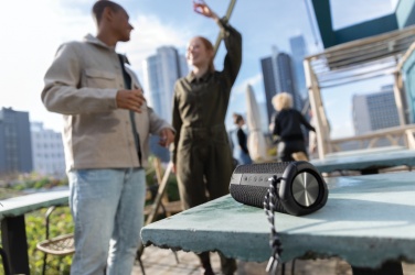 Logotrade firmakingitused pilt: Urban Vitamin Berkeley IPX7 veekindel 10W kõlar