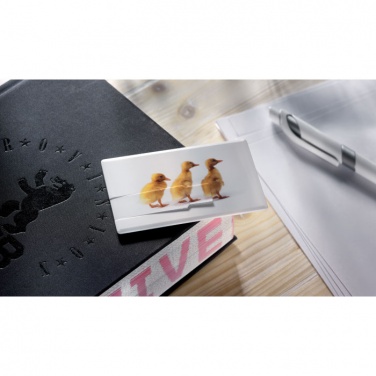 Logotrade ärikingitused pilt: Krediitkaart. USB-välkmälu 4 GB