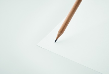 Logo trade ärikingitused foto: Looduslik kustutuskummiga pliiats