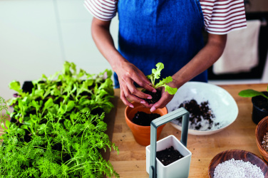 Logo trade ärikingi pilt: LED-valgustusega istutuspott LUSHLET