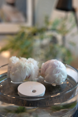 Logotrade ärikingitused pilt: Breevia RCS plastikust laetav ujuv õhuniisutaja