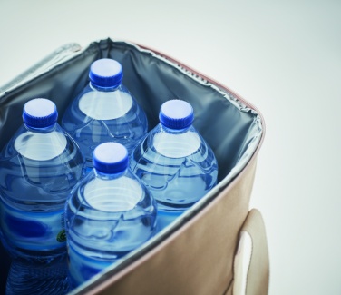 Logotrade profilreklam bild: Stor kylväska canvas 450gr/m